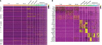 Single-Cell RNA Sequencing in Lung Cancer: Revealing Phenotype Shaping of Stromal Cells in the Microenvironment